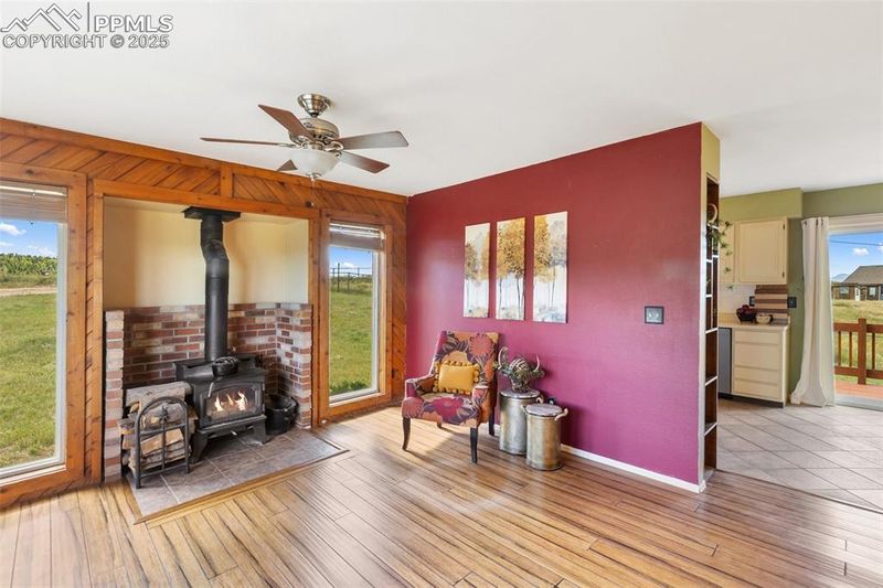 119 Will Scarlet Dr, Divide, CO 80814