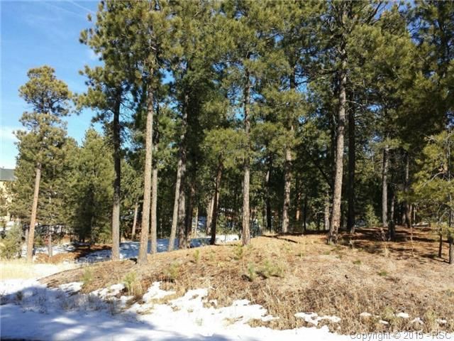 1190 Carnahan Ct, Monument, CO 80132