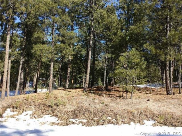 1190 Carnahan Ct, Monument, CO 80132