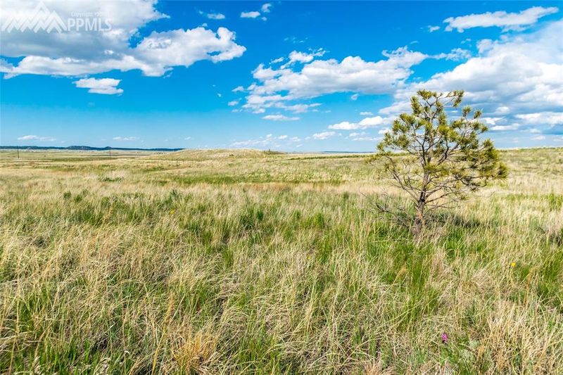 11955 Silver Concho Trl, Elbert, CO 80106