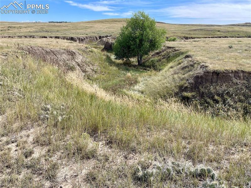 12 County Road 77, Calhan, CO 80808