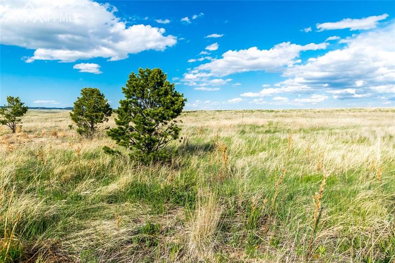 12015 Silver Concho Trl, Elbert, CO 80106