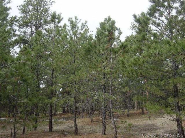 12025 Dawson Rd, Elbert, CO 80106