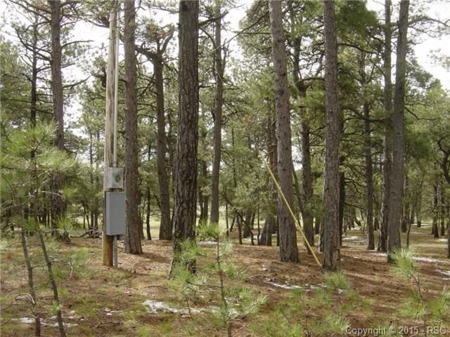 12025 Dawson Rd, Elbert, CO 80106
