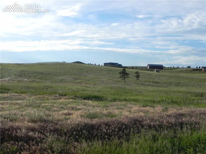 12032 Spruce Mountain Rd, Larkspur, CO 80118