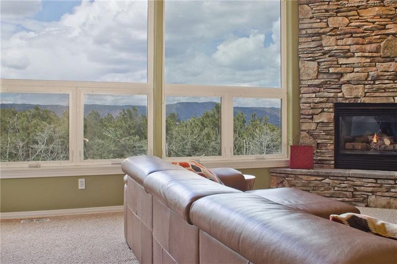 1207 Carnahan Ct, Monument, CO 80132