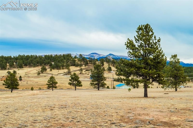 12077 County Road 1, Florissant, CO 80816