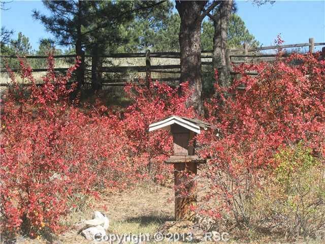 1208 Mount View Ln, Colorado Springs, CO 80907