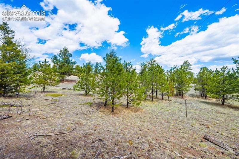 121 Bridle Ln, Florissant, CO 80816