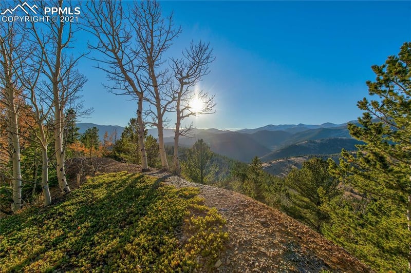 121 Consolidated Ditch Rd, Idaho Springs, CO 80452