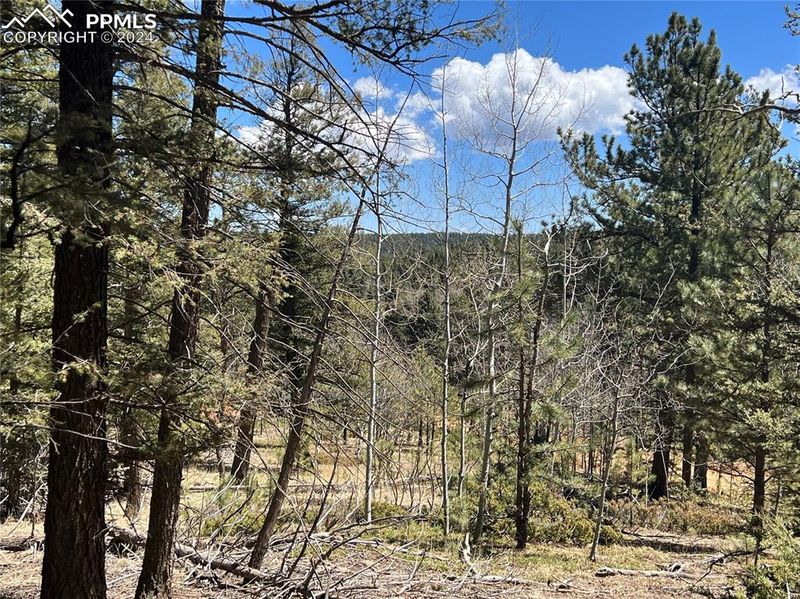 121 W Lake Dr, Divide, CO 80814