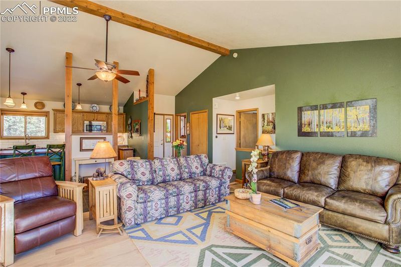 121 Remwood Cir, Divide, CO 80814