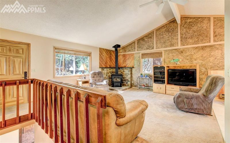 1210 W Browning Ave, Woodland Park, CO 80863