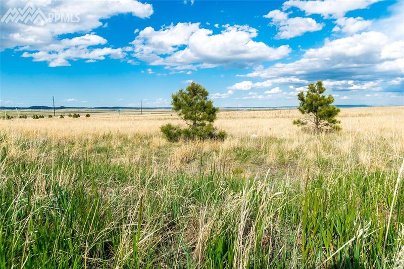 12115 Silver Concho Trl, Elbert, CO 80106