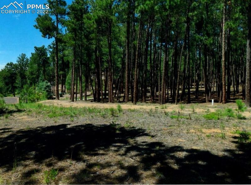 1215 Dolan Dr, Monument, CO 80132