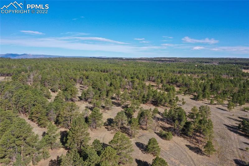 12172 Goodson Rd, Colorado Springs, CO 80908