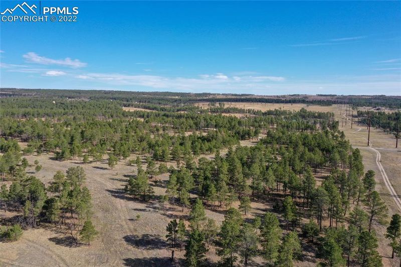 12172 Goodson Rd, Colorado Springs, CO 80908