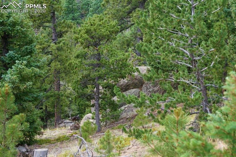 122 Eagle Mountain Rd, Manitou Springs, CO 80829