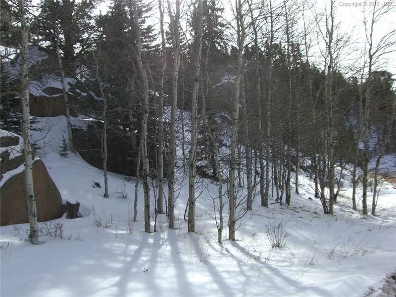 122 Peregrine Way, Divide, CO 80814