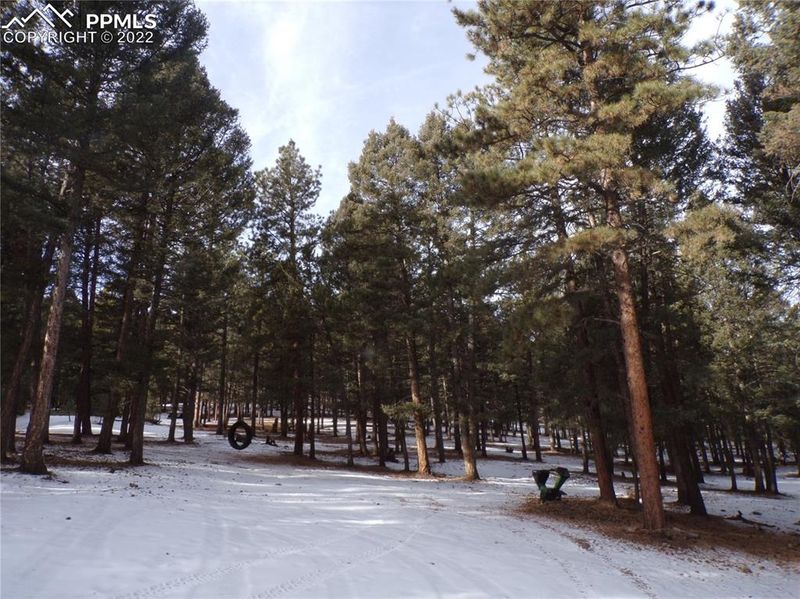 1220 Thomas Dr, Woodland Park, CO 80863