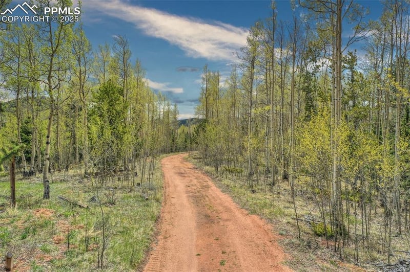 12201 Highway 67 , Cripple Creek, CO 80813