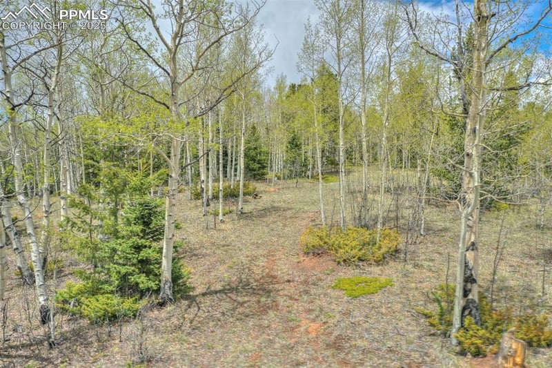 12201 Highway 67 , Cripple Creek, CO 80813