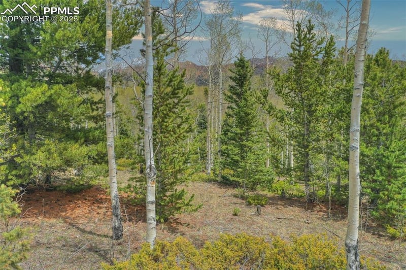 12201 Highway 67 , Cripple Creek, CO 80813