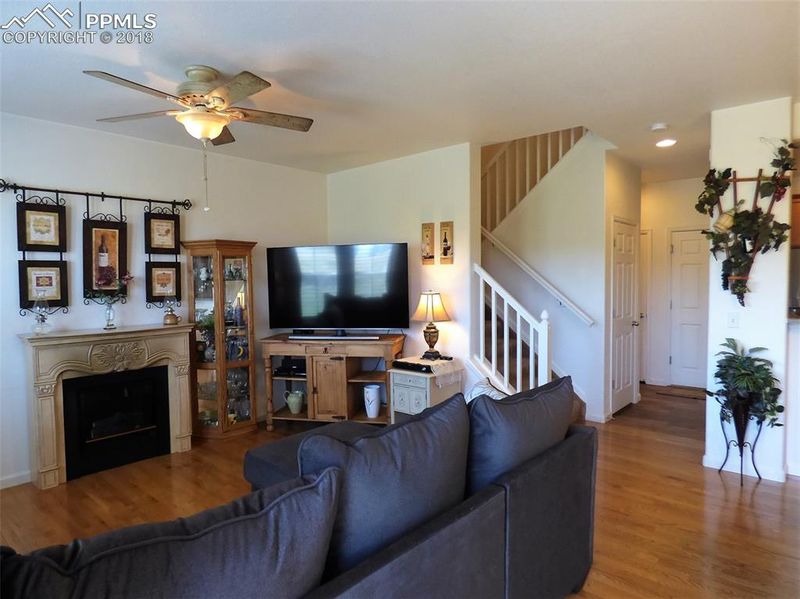 1224 Timber Run Hts, Monument, CO 80132