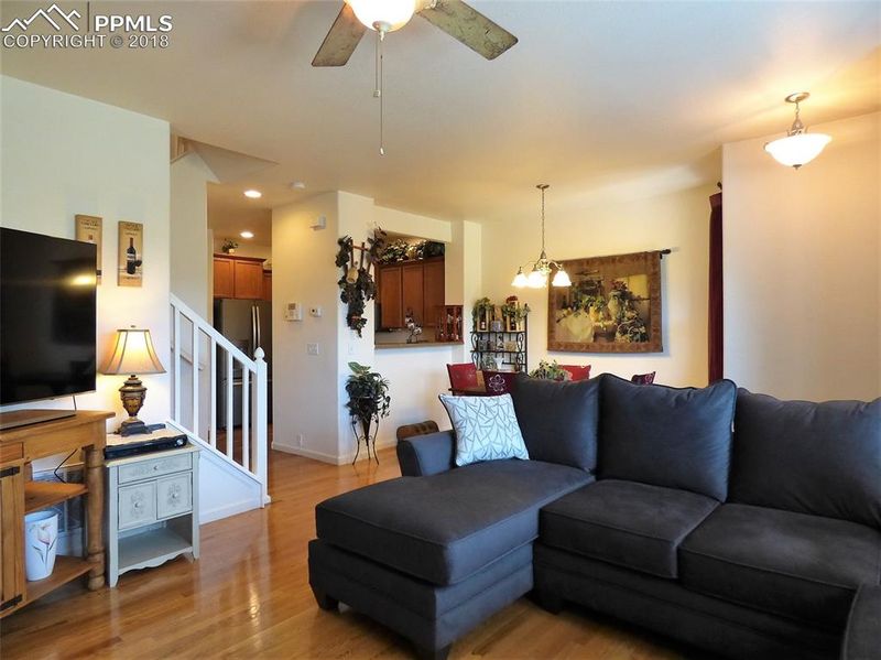1224 Timber Run Hts, Monument, CO 80132