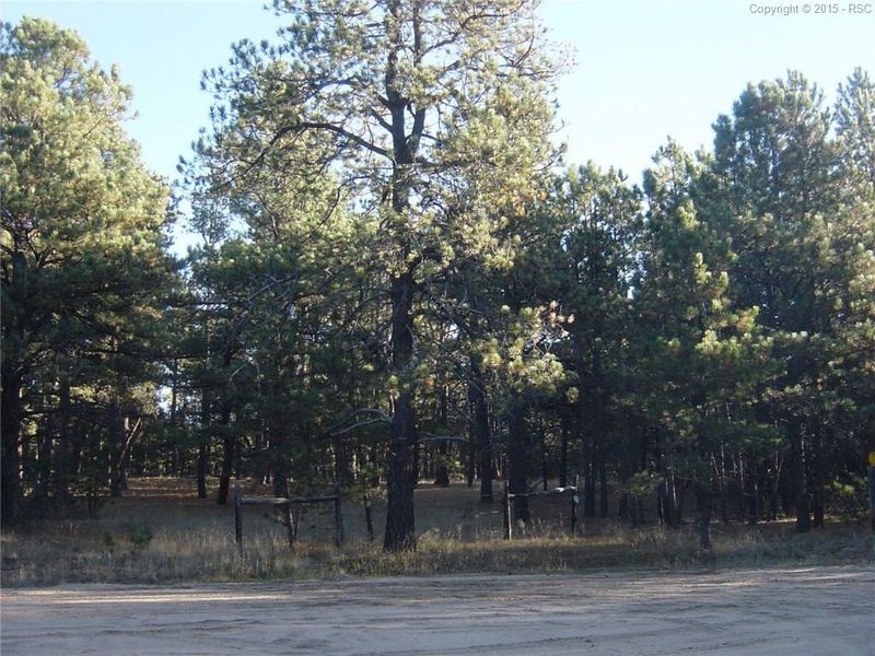 12250 Melba Rd, Elbert, CO 80106