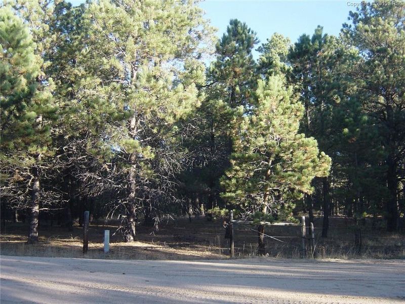 12250 Melba Rd, Elbert, CO 80106
