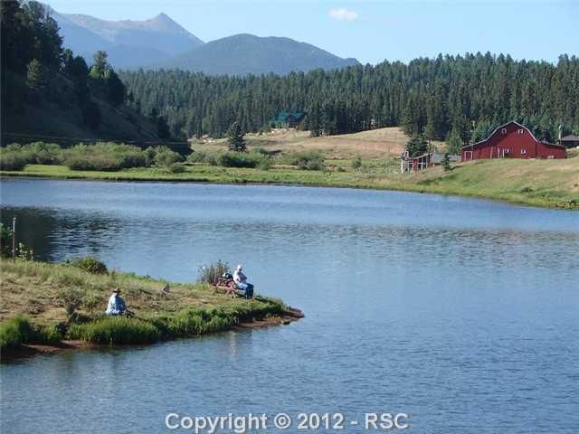 123 Spring Valley Cir, Divide, CO 80814
