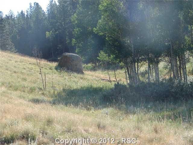 123 Spring Valley Cir, Divide, CO 80814