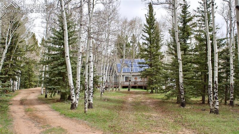 1238 County Road 5, Divide, CO 80814
