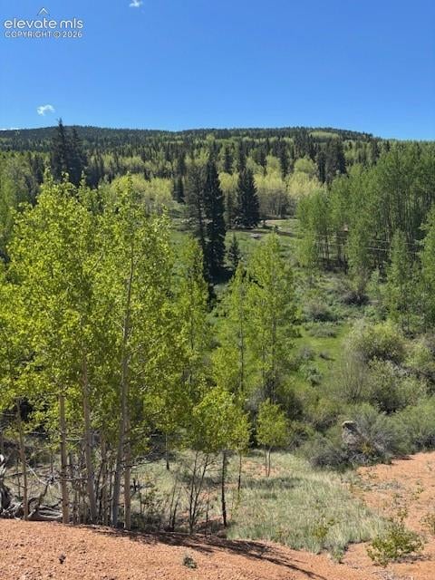 124 Yorktown Dr, Cripple Creek, CO 80813