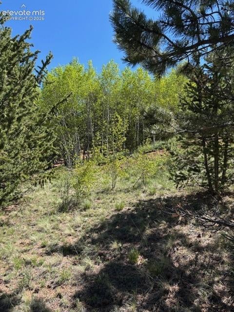 124 Yorktown Dr, Cripple Creek, CO 80813