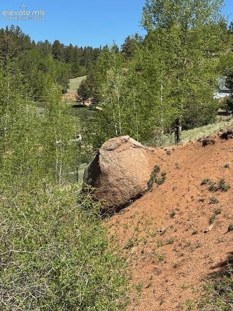 124 Yorktown Dr, Cripple Creek, CO 80813