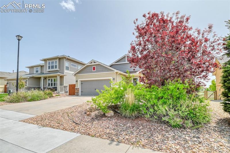 12475 Angelina Dr, Peyton, CO 80831