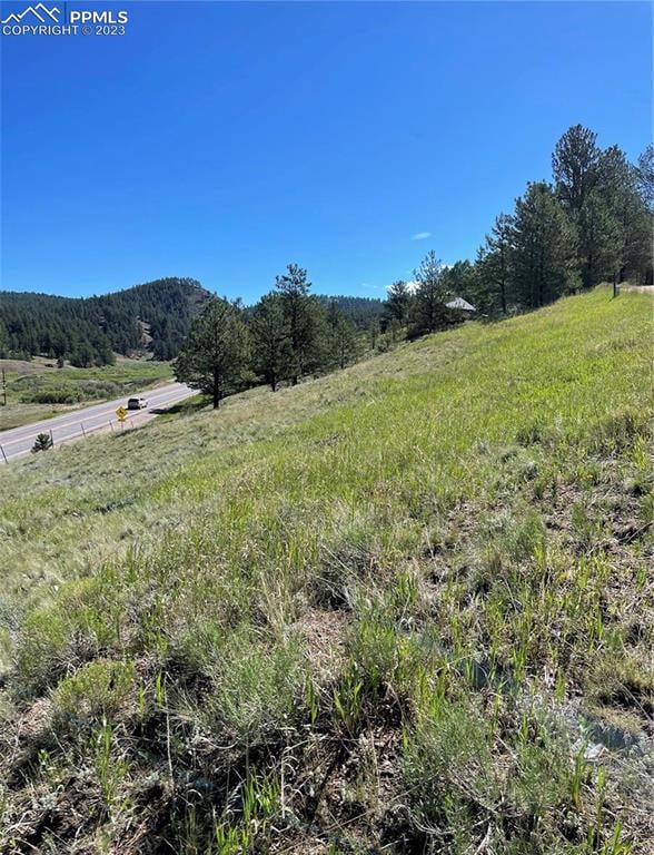 125 - 137 Hillside Dr, Florissant, CO 80816