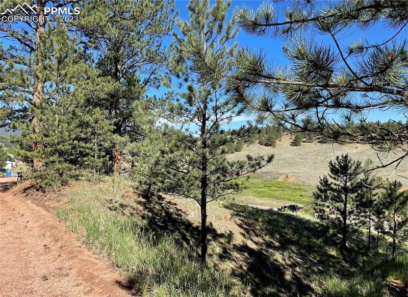 125 - 137 Hillside Dr, Florissant, CO 80816