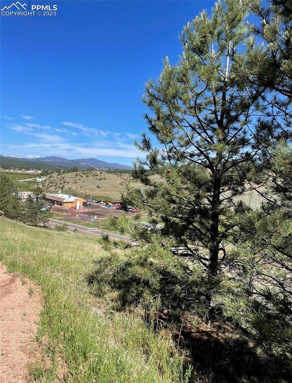 125 - 137 Hillside Dr, Florissant, CO 80816