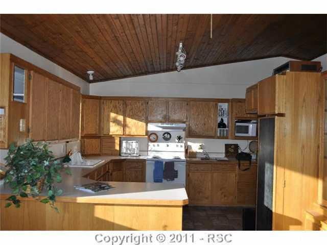 125 E Ridge Dr, Woodland Park, CO 80863