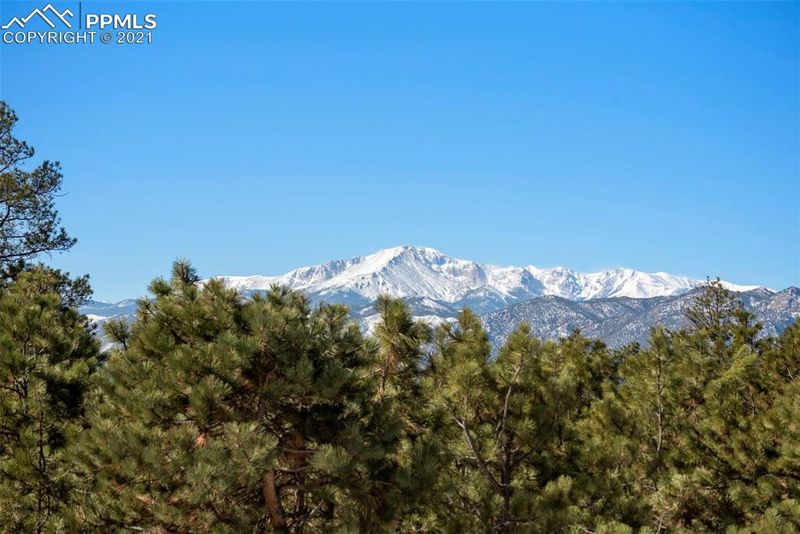 1255 Scarsbrook Ct, Monument, CO 80132