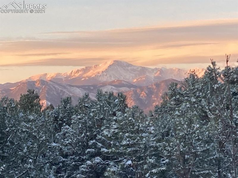 1255 Scarsbrook Ct, Monument, CO 80132