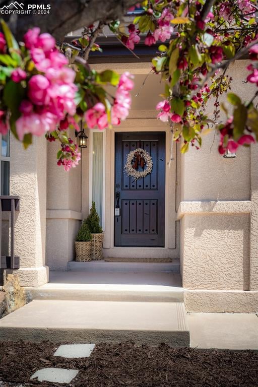 12595 Brookhill Dr, Colorado Springs, CO 80921