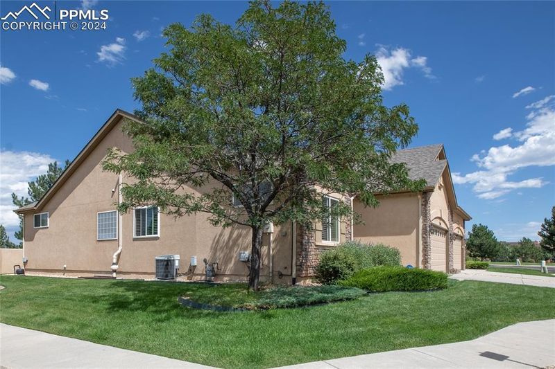 1260 Winterhall Point, Colorado Springs, CO 80906