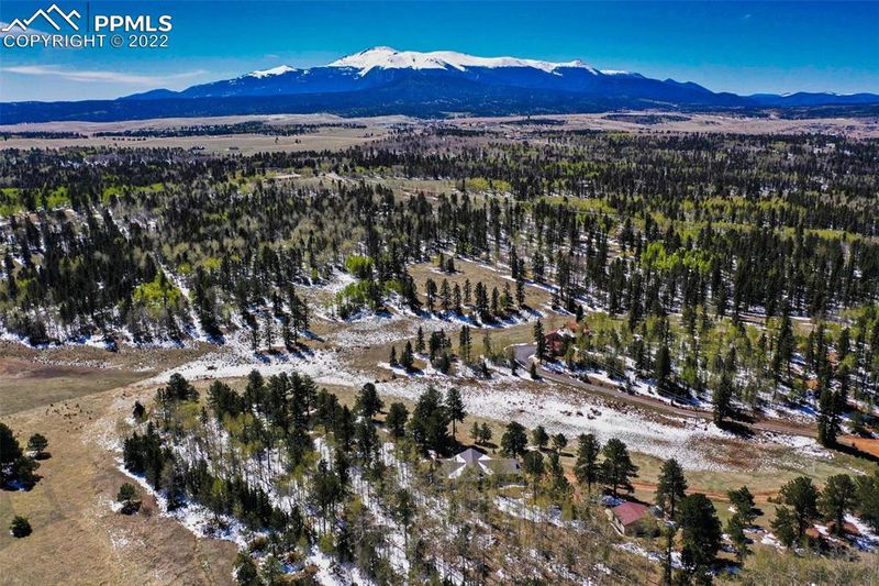 127 Bear Claw Trl, Divide, CO 80814