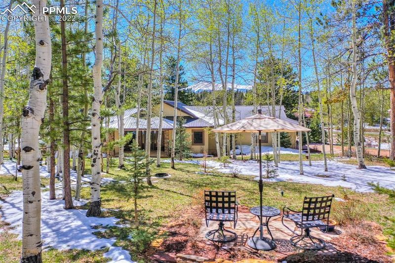 127 Bear Claw Trl, Divide, CO 80814