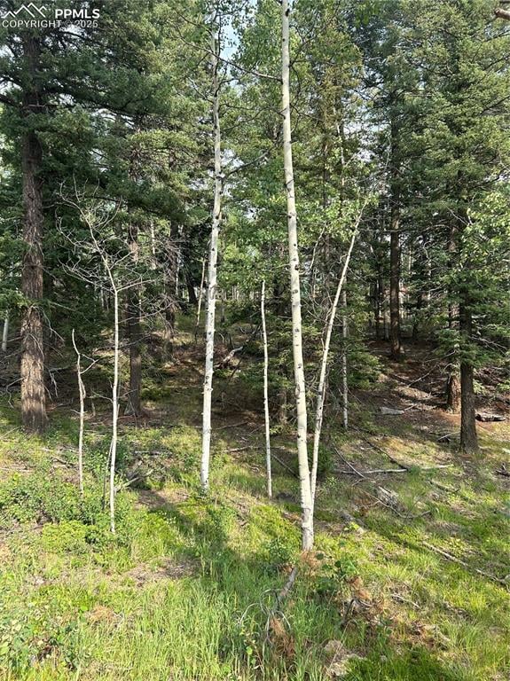 127 Rampart Cir, Florissant, CO 80816