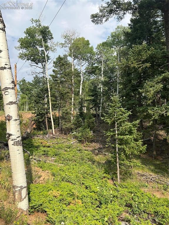 127 Rampart Cir, Florissant, CO 80816